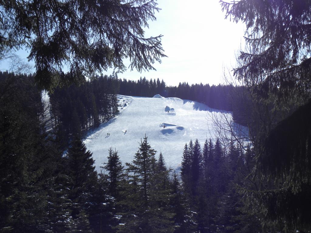 Ubytovani Skipot Appartement Potucky Buitenkant foto